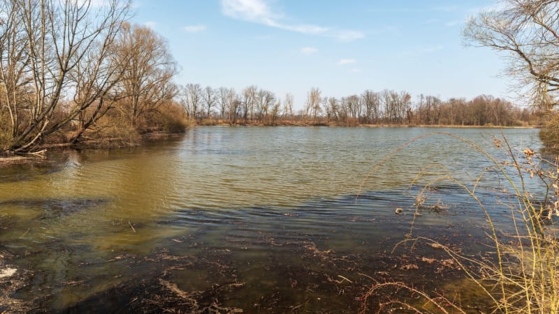 Rybníkáři se na Novojičínsku připravují na provzdušňování rybníků. Důvodem jsou horka