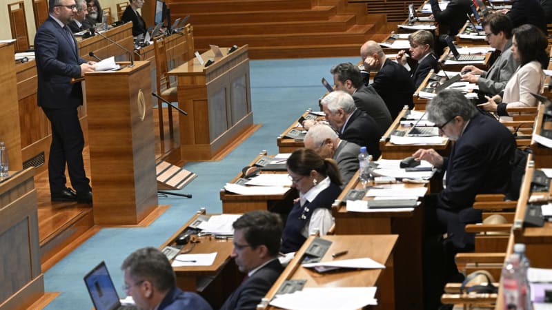Rozvody mají být jednodušší, rozhodl Senát. Děti získají právo na výchovu bez bití a strádání