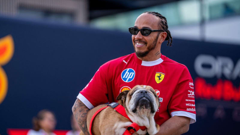 Těžké chvíle šampiona Hamiltona: Jeho buldok je v kómatu, formule 1 jde nyní stranou