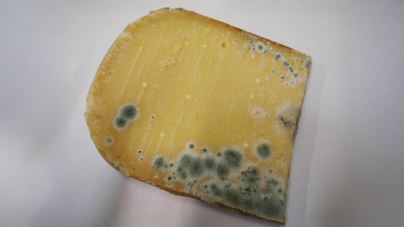 Řetězec prodával sýr s nebezpečnou plísní. Nezakryl ji ani obal, upozornila inspekce