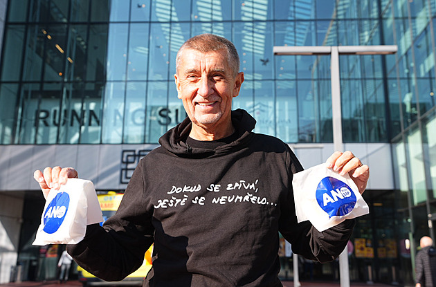 Rádce pro váhající voliče. Jak strany slibují řešit klíčová témata