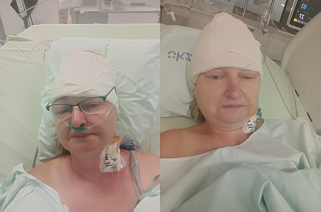 Někdo má léčbu nádoru mozku zdarma, my musíme shánět peníze, zoufá si rodina