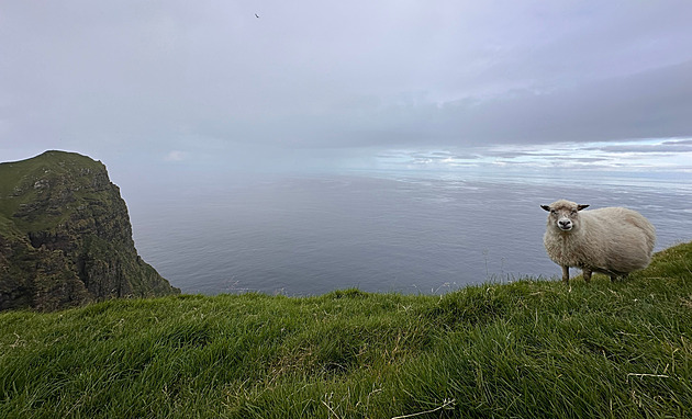 Faerové se snaží prorazit v gastronomii. Domácí produkty přitom v obchodech nemají