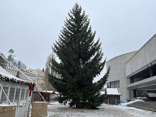 Karlovy Vary mají náhradu za poničenou douglasku, vánočním stromem bude smrk