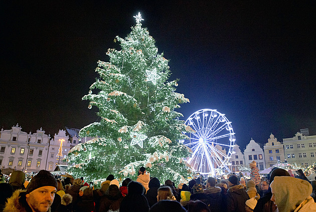 Před 100 lety poprvé v Plzni rozsvítili vánoční strom, město rozdá sazenice