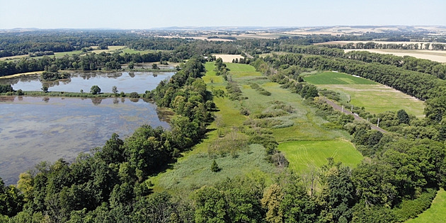 Poodří má novou přírodní rezervaci. Hnízdo orla mořského lidé uvidí i z vlaku
