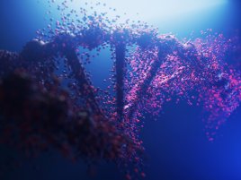 Vědci naučili AI poznat staré kmenové buňky podle uspořádání DNA