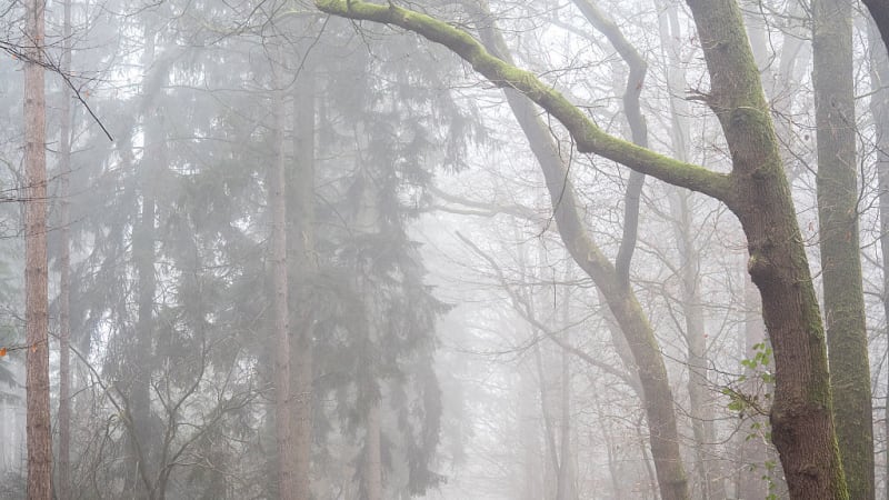 Mrazivé noci, pak do Česka dorazí déšť. RADAR ukazuje, kde naprší nejvíc